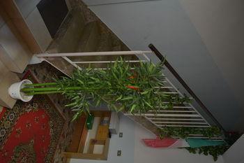 B&B Col Moschin Mestre Exterior foto
